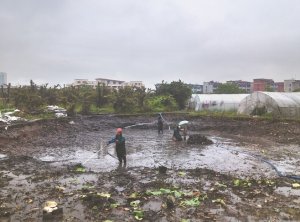 华阴河道鱼塘清淤